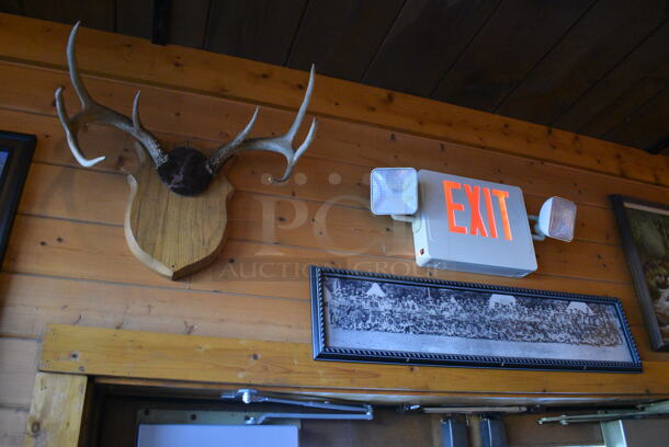 ALL ONE MONEY! Lot of Wall Decorations Including Canoe Picture, Antlers, River Picture and Shelf w/ Knickknacks. BUYER MUST REMOVE - Image 4 of 8