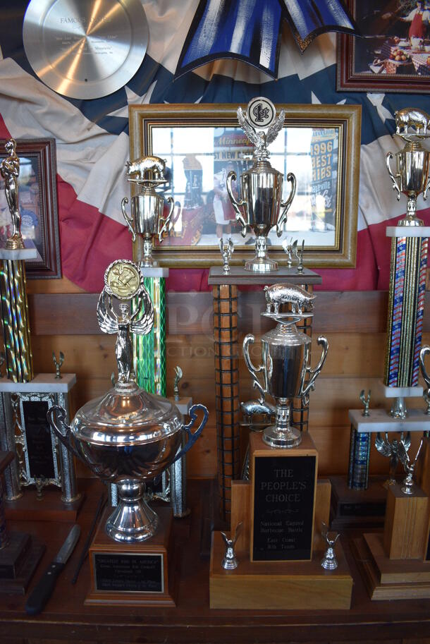 ALL ONE MONEY! Lot of Decorations Including Trophies. BUYER MUST REMOVE - Image 3 of 5