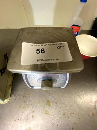 Taylor Platform Scale (25lb)