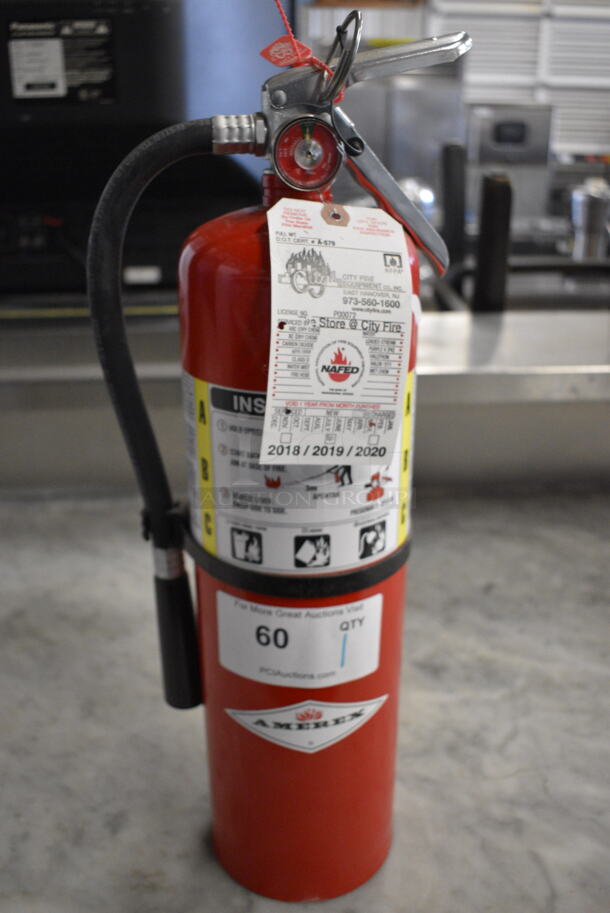Amerex Fire Extinguisher. 8x5x20