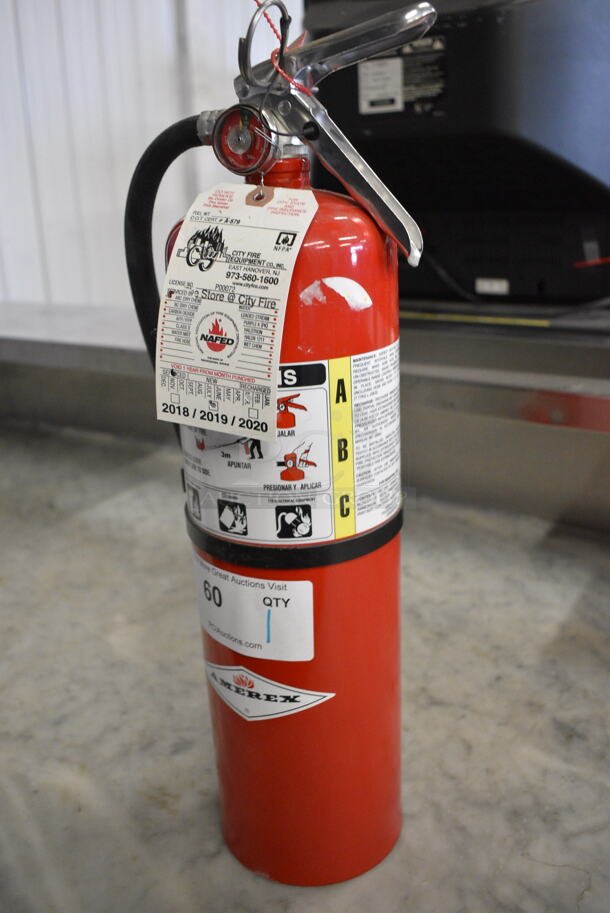 Amerex Fire Extinguisher. 8x5x20 - Image 3 of 7