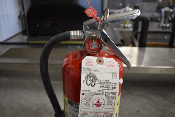 Amerex Fire Extinguisher. 8x5x20 - Image 4 of 7