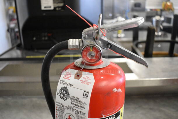 Amerex Fire Extinguisher. 8x5x20 - Image 4 of 6