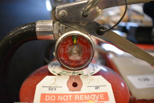 Buckeye Fire Extinguisher. 5x7x21 - Image 3 of 3