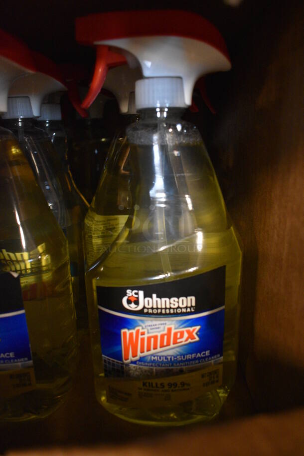 10 BRAND NEW! Bottles of Windex. 10 Times Your Bid!