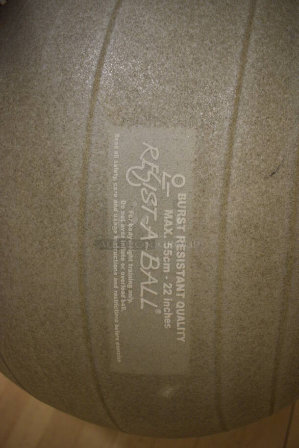 Gray Stability Ball. 18x18x18. (behind squash court - right) - Image 3 of 3