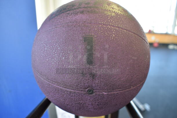 5 First Place Medicine Balls; 2.2 Pound, 4.4 Pound, 6.6 Pound, 8.8 Pound, 11 Pound on Black Metal 5 Tier Medicine Ball Rack. 11x14.5x52. (upstairs)
 - Image 3 of 5