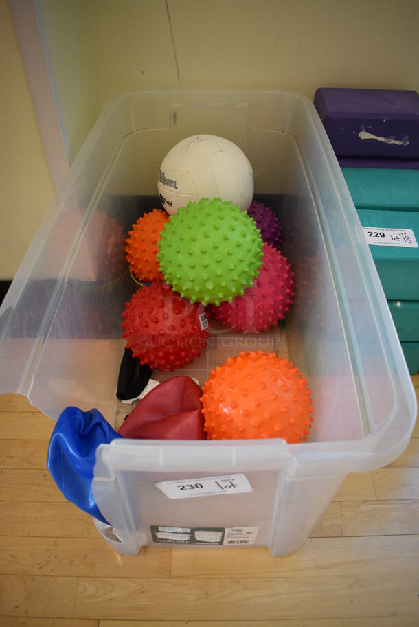 ALL ONE MONEY! Lot of Various Items Including Spikey Balls in Clear Bin! 