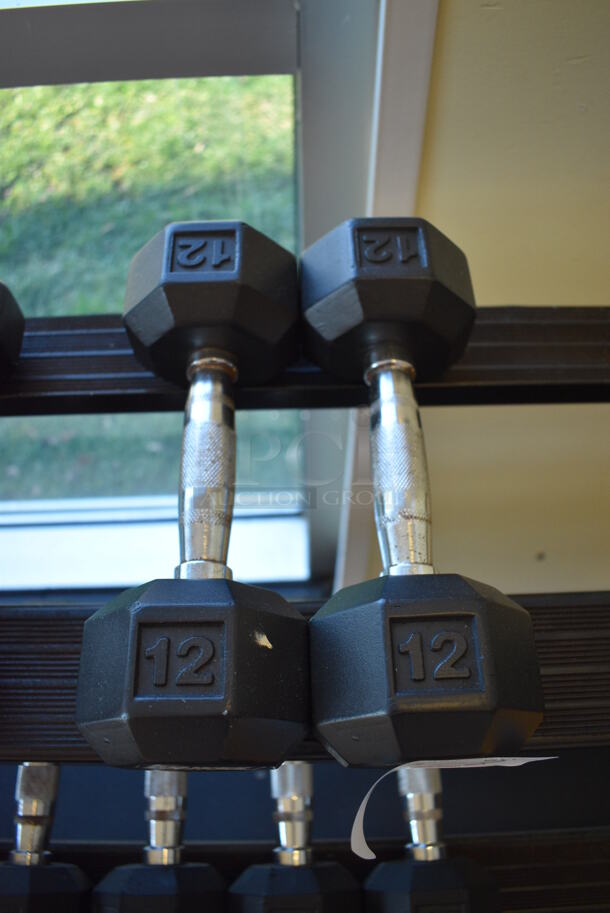 2 Power Systems Metal Black and Chrome Finish 12 Pound Hex Dumbbells. 4x11x4. 2 Times Your Bid! (aerobic room)
