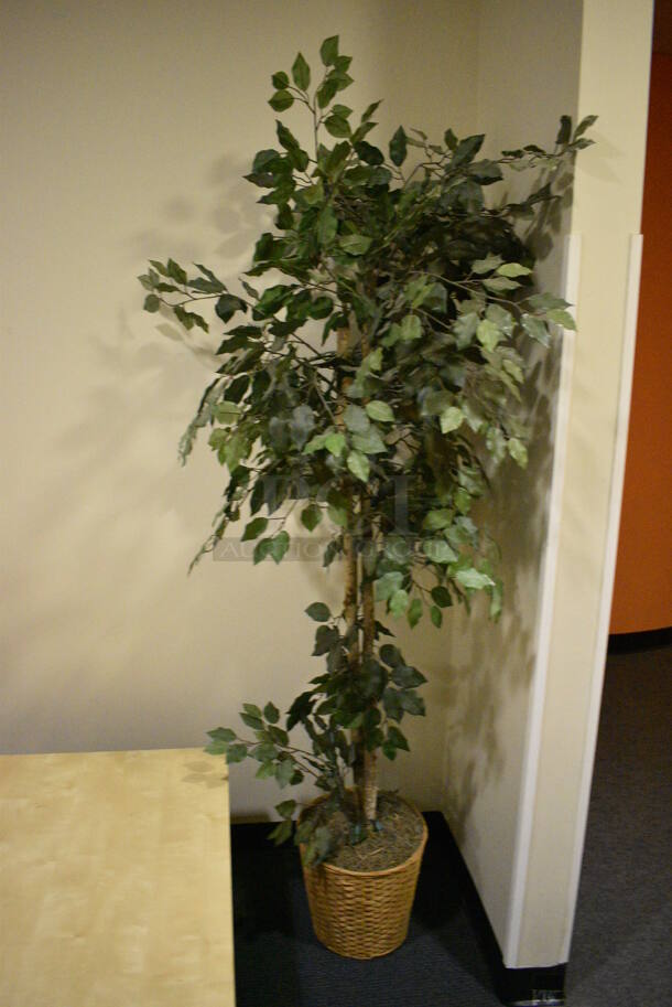 ALL ONE MONEY! Lot of Couch, Coffee Table and Fake Plant! (office wing) - Image 4 of 4
