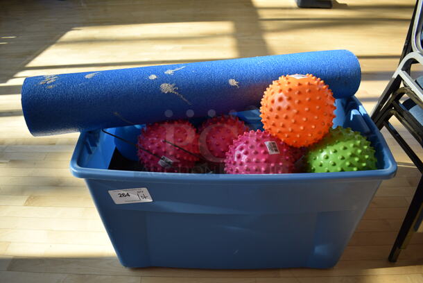 ALL ONE MONEY! Lot of Various Items Including Spikey Balls in Blue Bin! (aerobic room)