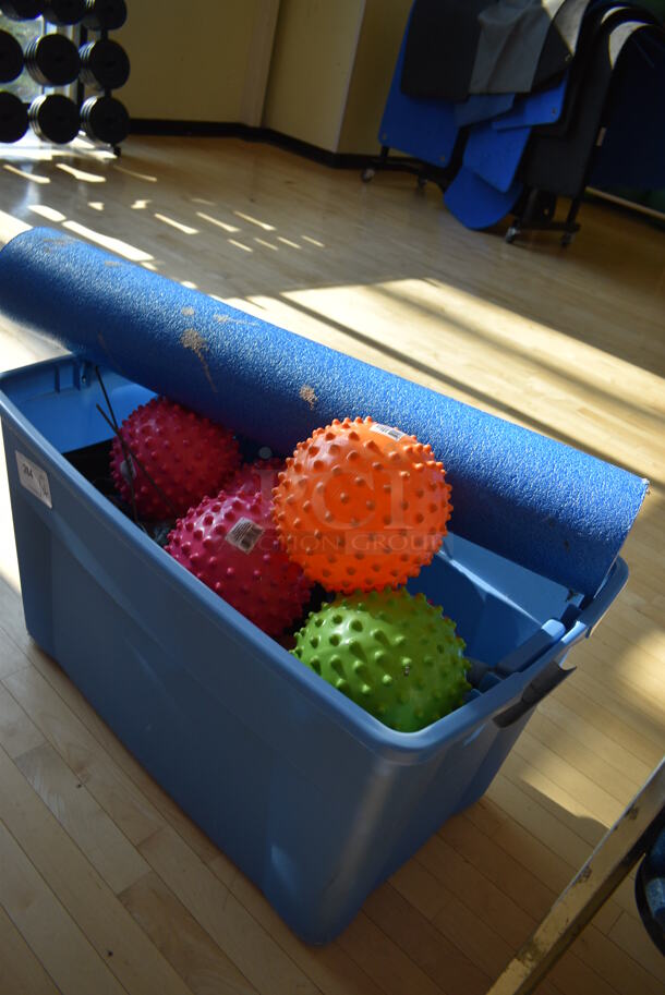 ALL ONE MONEY! Lot of Various Items Including Spikey Balls in Blue Bin! (aerobic room) - Image 2 of 4