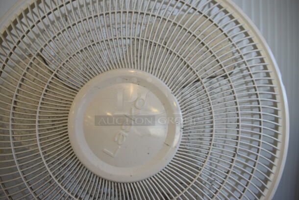 ALL ONE MONEY! Lot Includes White Fan, Roller Wheel, 2 Blue Balance Disc Pillows Pads ang Green Roller! (upstairs) - Image 8 of 8