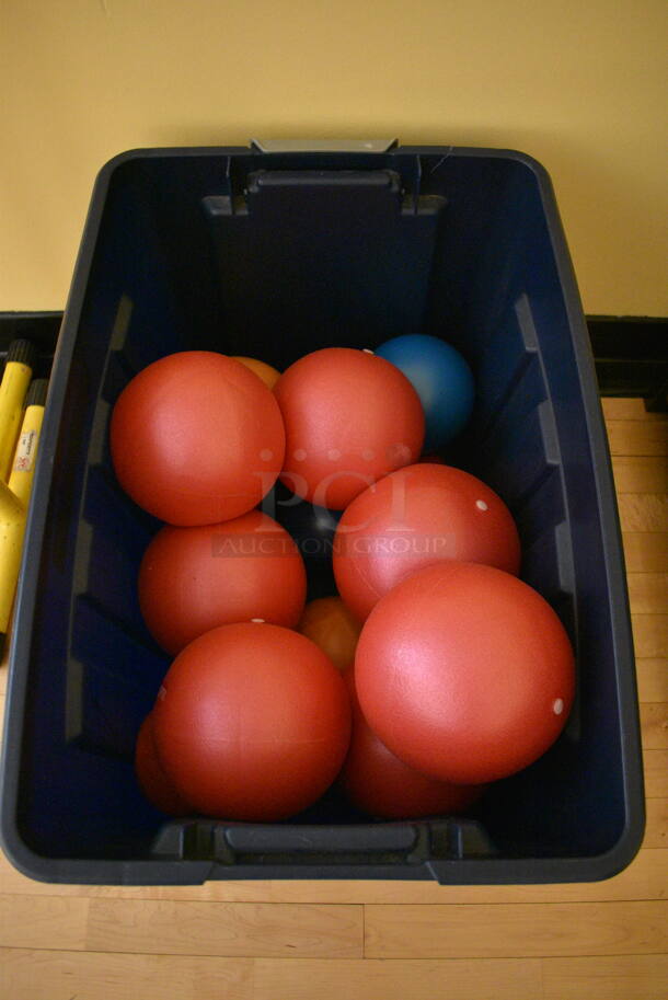 ALL ONE MONEY! Lot of Various Balls in Black Poly Bin! (ballet room - upstairs)