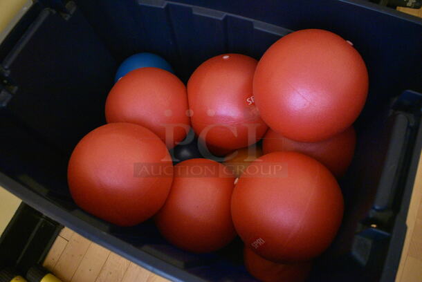 ALL ONE MONEY! Lot of Various Balls in Black Poly Bin! (ballet room - upstairs) - Image 2 of 3