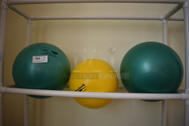 3 Various Stability Balls. 3 Times Your Bid! (aerobic room)