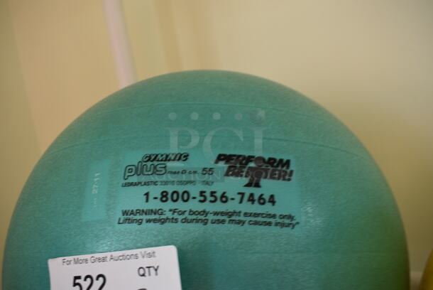 3 Various Stability Balls. 3 Times Your Bid! (aerobic room) - Image 2 of 3