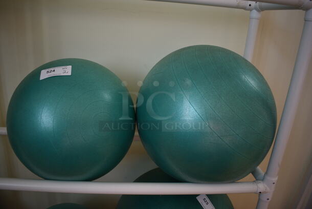 2 Various Stability Balls. 2 Times Your Bid! (aerobic room) - Image 1 of 2
