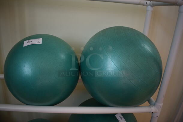 2 Various Stability Balls. 2 Times Your Bid! (aerobic room)