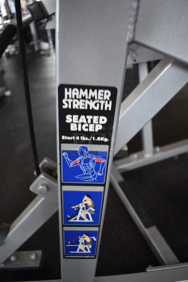 NICE! Hammer Strength Gray Metal Floor Style Seated Bicep Machine. BUYER MUST REMOVE. 44x42x52. (weight room) - Image 4 of 7
