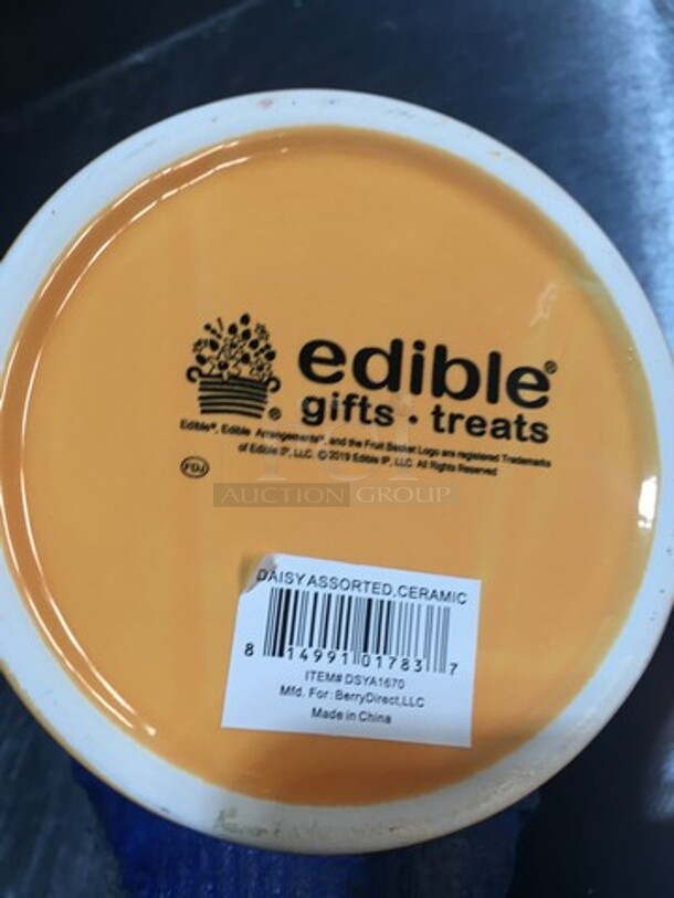 ALL ONE MONEY! Assorted Ceramic Vases! With Sterilite Poly Bin! - Image 5 of 6