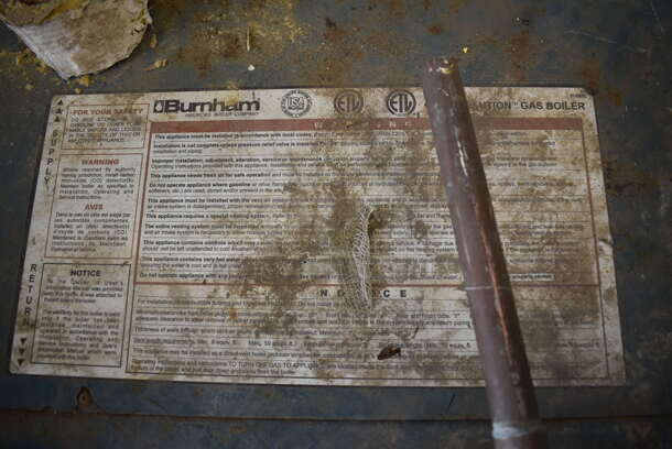 Burnham Blue Metal Revolution Gas Boiler. 40x29x43 - Image 6 of 6