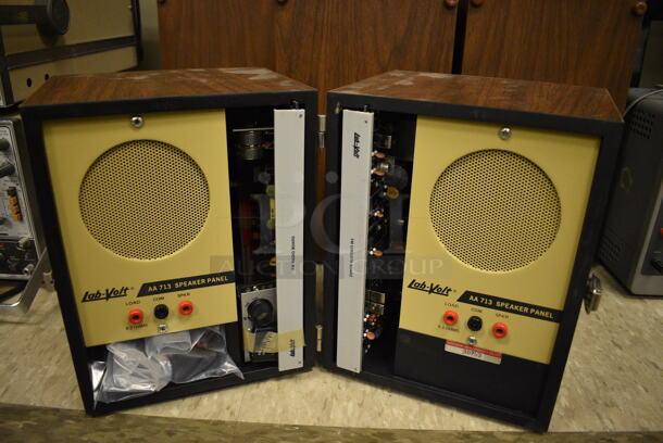 2 Wood Pattern Cases w/ Lab-Volt AA713 Speaker Panels. Each Case Has 2 Speakers. 8x10x14. 2 Times Your Bid! (Midtown 2: Room 105)