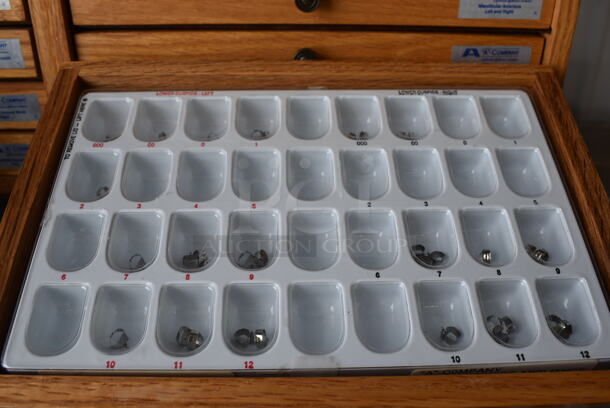 Wooden Display Case of Maxillary Tooth Bands. 13x8.5x14.5 - Image 3 of 5