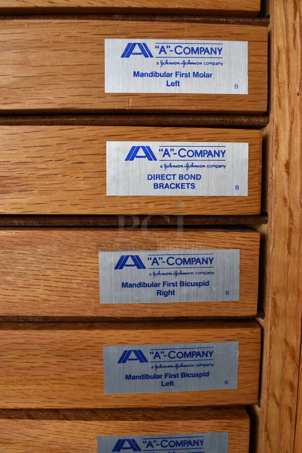 Wooden Display Case of Maxillary Tooth Bands. 13x8.5x14.5 - Image 3 of 6