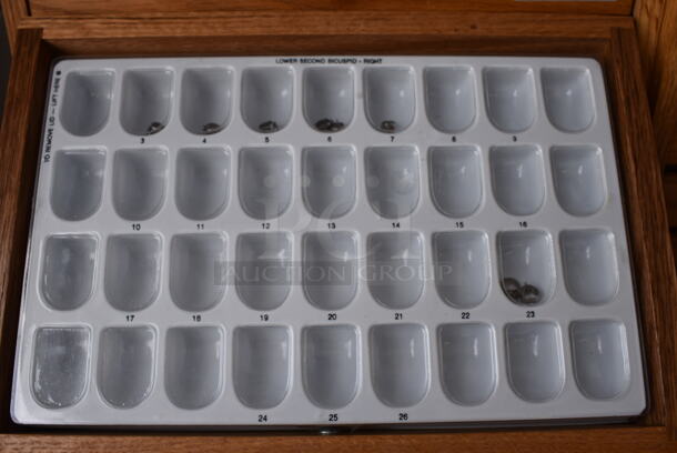 Wooden Display Case of Maxillary Tooth Bands. 13x8.5x14.5 - Image 5 of 6