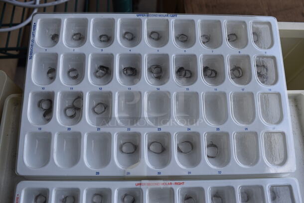 2 Trays and 1 Clear Poly Bin of Teeth Bands. 10.5x6.5x1 and 6.5x4x3. 3 Times Your Bid! - Image 2 of 4