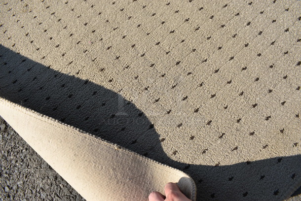 Tan Rug. 48x30 - Image 3 of 3