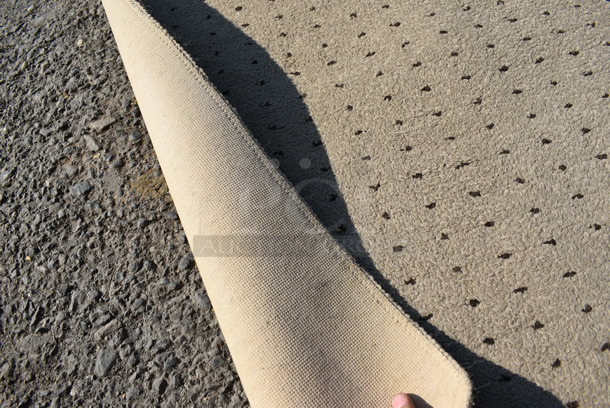 Tan Rug. 48x30 - Image 3 of 3