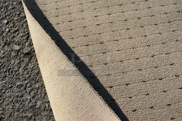 Tan Rug. 48x30 - Image 3 of 3