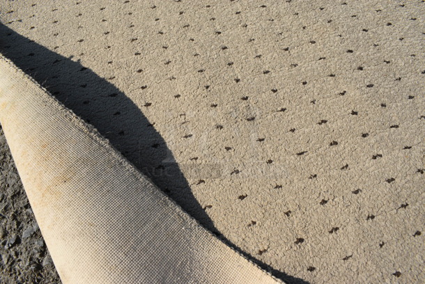 Tan Rug. 48x30 - Image 3 of 3