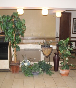 ALL ONE MONEY! Various Plant Decor Items. 