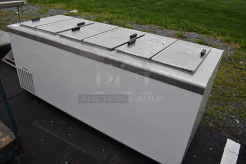 Excellence Stainless Steel Commercial Chest Freezer w/ 2 Center Hinge Lid. 81x31x34. Tested and Working!