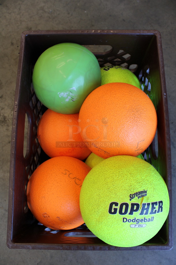 7 Various Dodgeballs. Includes Gopher. 7x7x7. 7 Times Your Bid!
