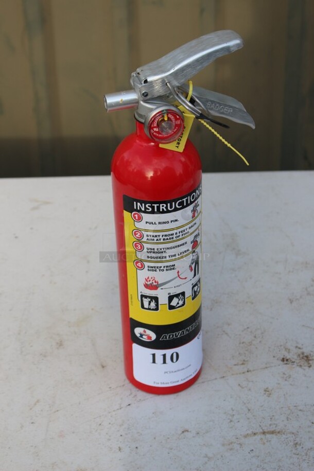 Badger dry chemical fire extinguisher 