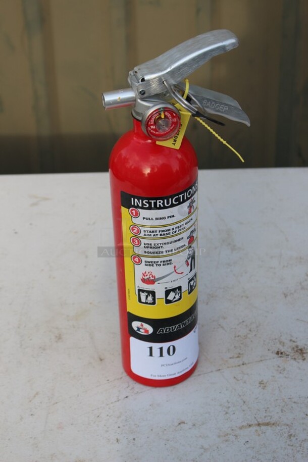 Badger dry chemical fire extinguisher  - Image 1 of 1
