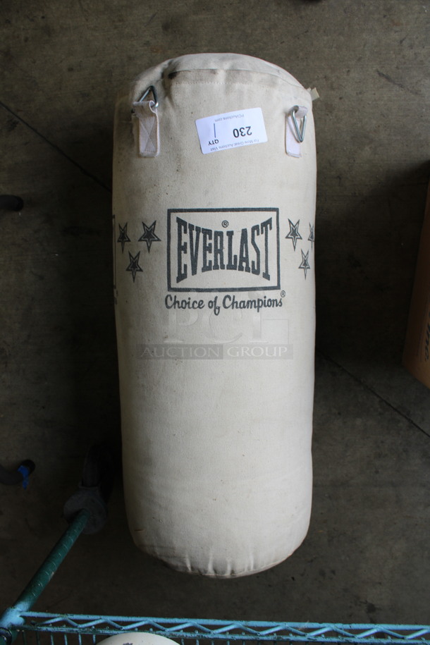 Everlast Punching Bag. 13x13x32
