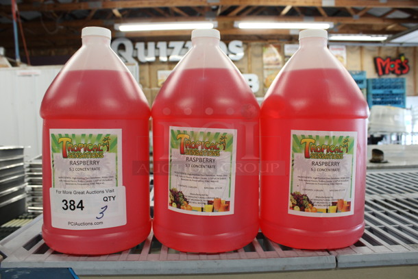 3 Jugs of Tropical Sensations Raspberry Concentrate. 6x6x12. 3 Times Your Bid!