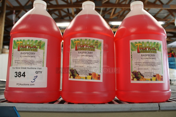3 Jugs of Tropical Sensations Raspberry Concentrate. 6x6x12. 3 Times Your Bid! - Image 2 of 3