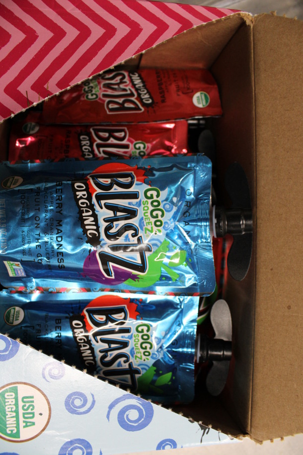 ALL ONE MONEY! Box of GoGo Squeez Blastz Organic Fruit Pouches - Image 3 of 3