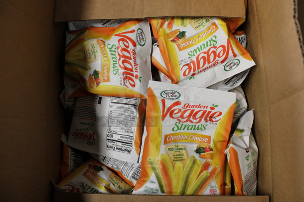 ALL ONE MONEY! Lot of 2 Boxes of Individual Mini Cheddar Cheese Veggie Straw Bags!