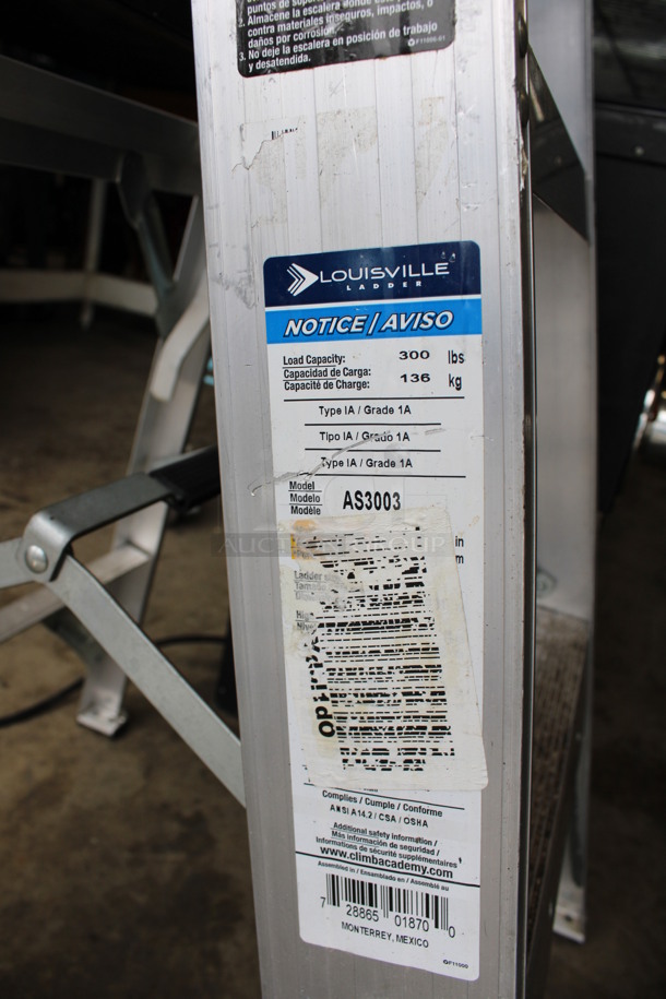 Louisville 3' Metal 300 Pound Capacity Ladder - Image 3 of 3