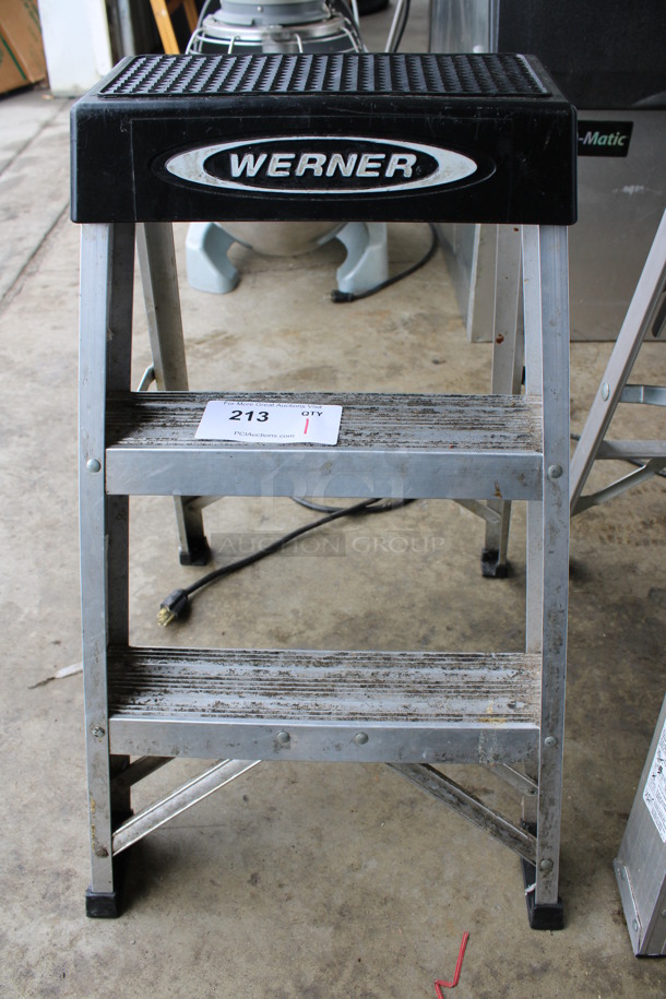 Werner 2' Metal 300 Pound Capacity Ladder