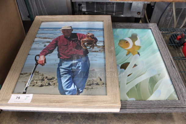 3 Framed Pictures; Man, Crab and Clownfish. Includes 36x2x27.5. 3 Times Your Bid!