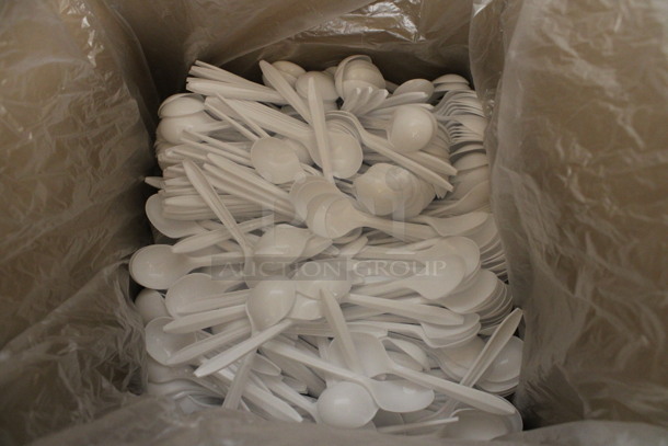 ALL ONE MONEY! Box of Kitchen Essentials Plastic Soup Spoons!