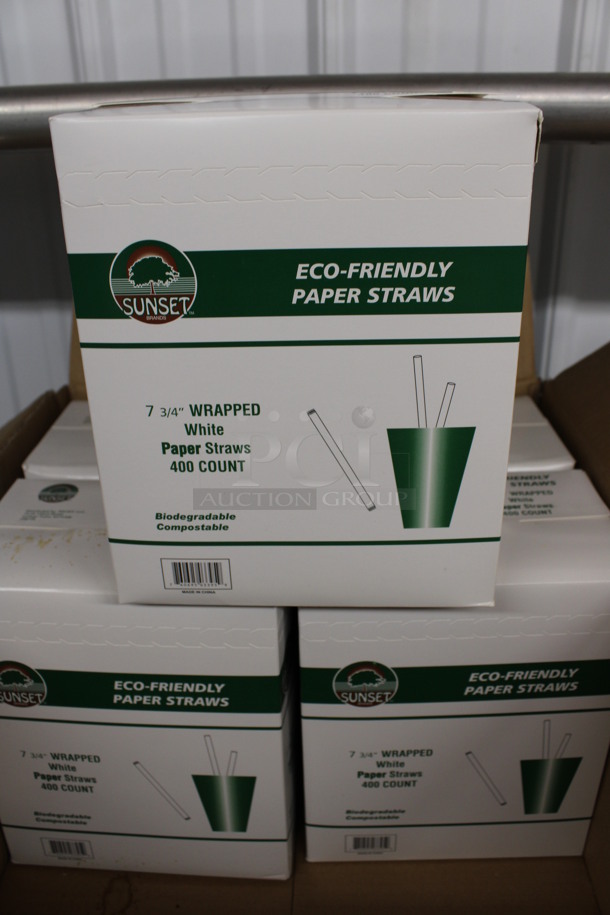 ALL ONE MONEY! Lot of 5 BRAND NEW Boxes of Sunset Eco Friendly Paper Straws. 7.75